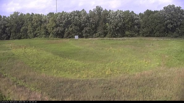 Cell 4_23-08-17_16-29-43-91