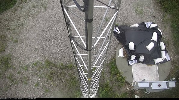 Hatch_23-08-17_14-17-23-86