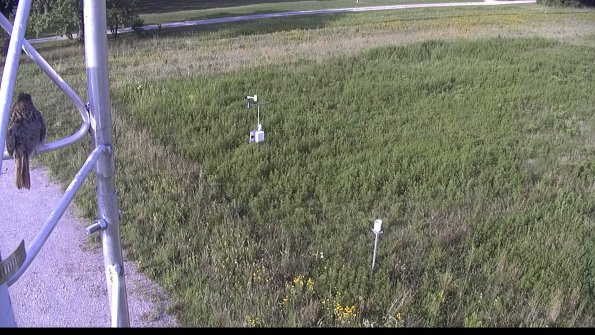 capture-1-23-08-17_08-47-09-69