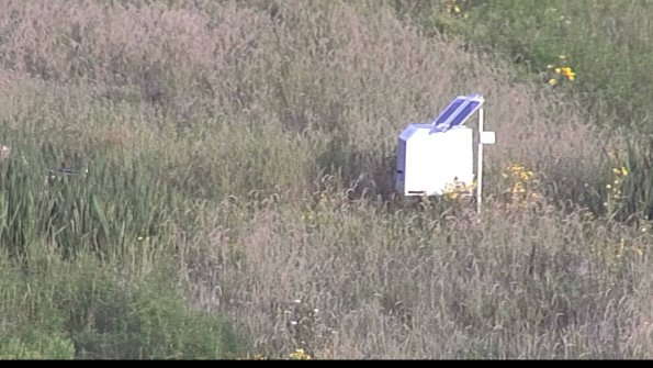 capture-4-23-08-17_07-37-56-81