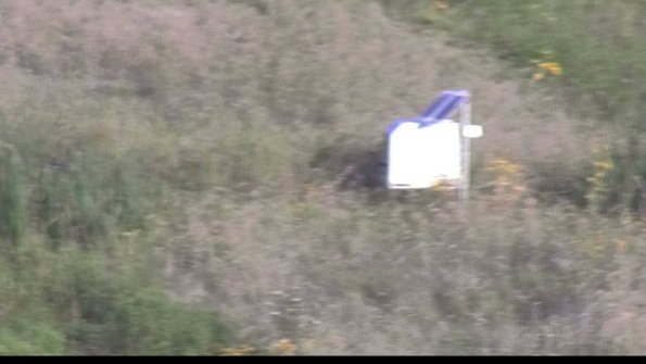 capture-4-23-08-17_07-47-57-11