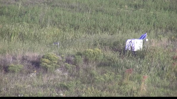 capture-5-23-08-17_07-46-11-83