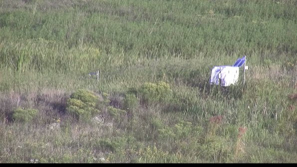 capture-5-23-08-17_07-48-10-79