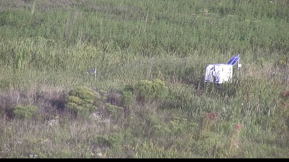 capture-5-23-08-17_07-52-12-06