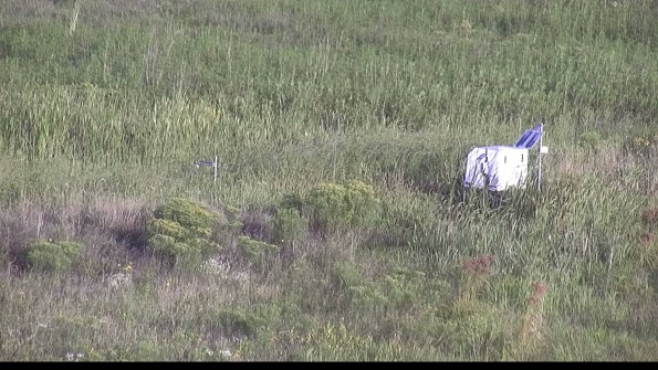 capture-5-23-08-17_07-58-11-93