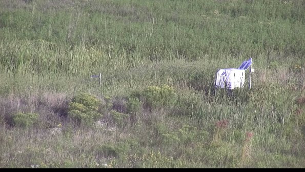 capture-5-23-08-17_08-02-12-07