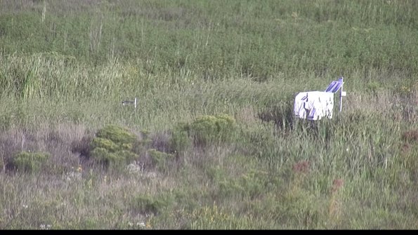 capture-5-23-08-17_08-40-11-17