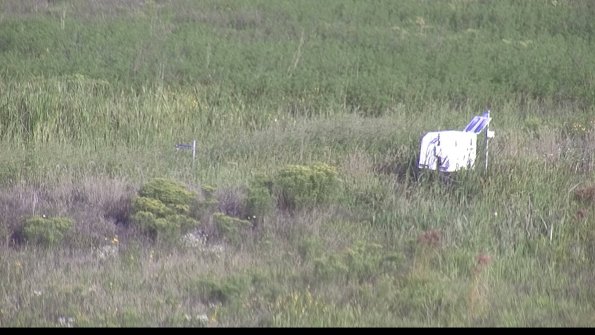 capture-5-23-08-17_08-50-10-41