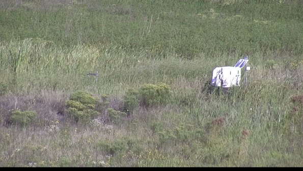 capture-5-23-08-17_09-44-11-39