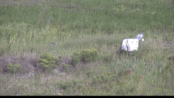 capture-5-23-08-17_09-48-11-23