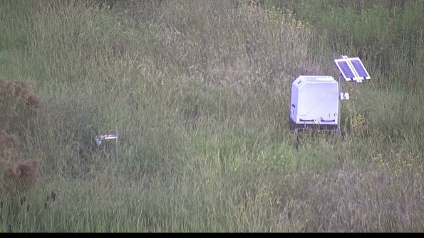 capture-6-23-08-17_07-14-26-24