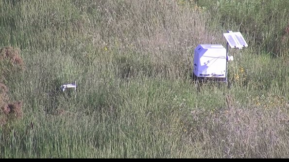 capture-6-23-08-17_08-38-25-80