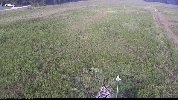 Cell 1_23-08-26_08-10-19-88