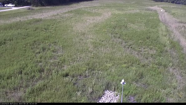 Cell 1_23-08-26_10-57-47-88