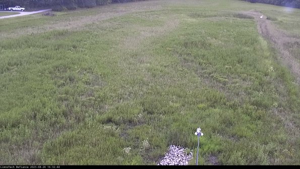 Cell 1_23-08-26_16-32-44-88