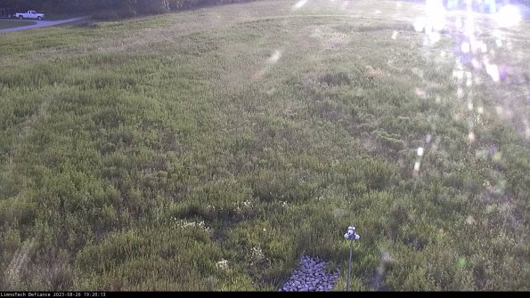 Cell 1_23-08-26_19-20-13-88