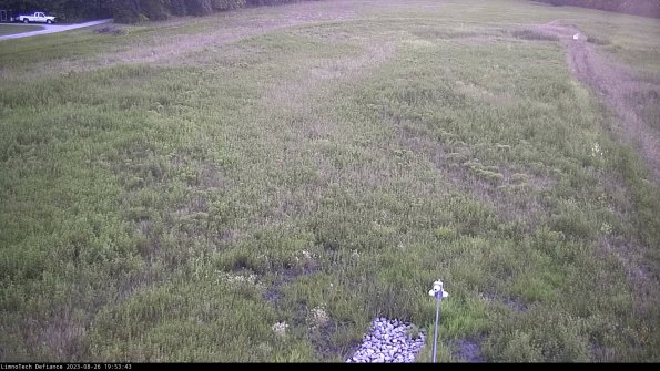 Cell 1_23-08-26_19-53-43-90