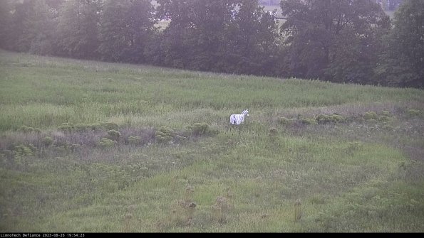 Cell 2 to 3_23-08-26_19-54-24-04