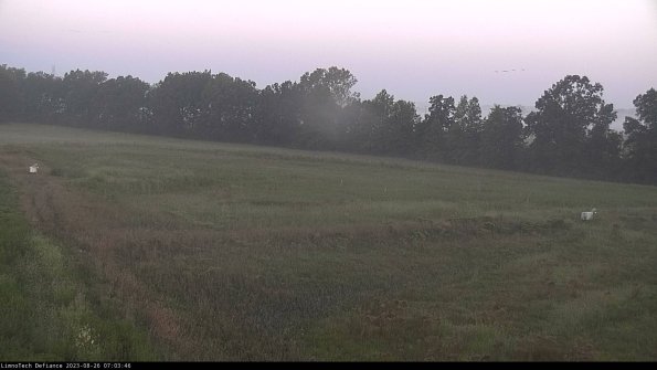 Cell 2_23-08-26_07-03-46-90