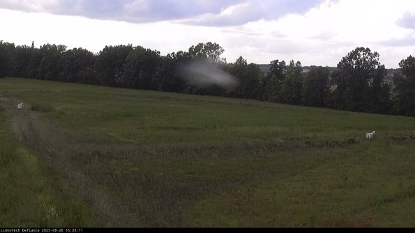 Cell 2_23-08-26_16-33-11-91