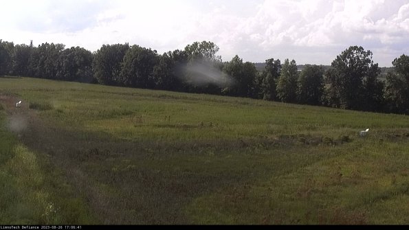 Cell 2_23-08-26_17-06-41-96