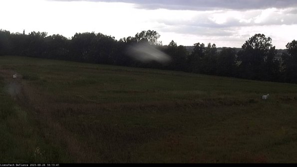 Cell 2_23-08-26_18-13-41-90