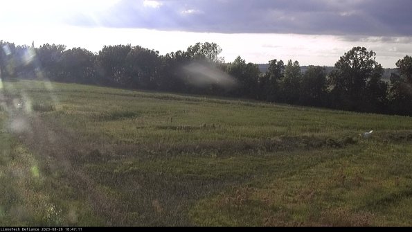 Cell 2_23-08-26_18-47-11-89