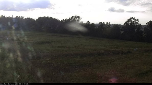 Cell 2_23-08-26_19-20-40-91