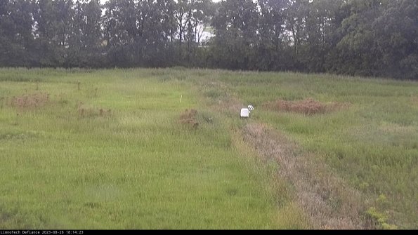 Cell 3 to 4_23-08-26_18-14-23-88