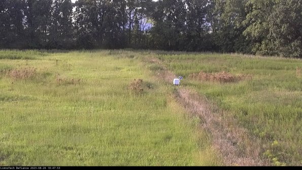 Cell 3 to 4_23-08-26_18-47-53-90