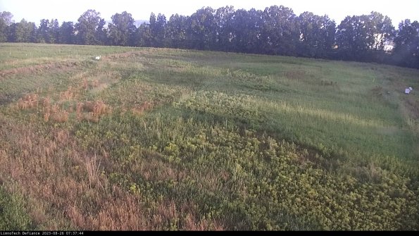 Cell 3_23-08-26_07-37-44-88