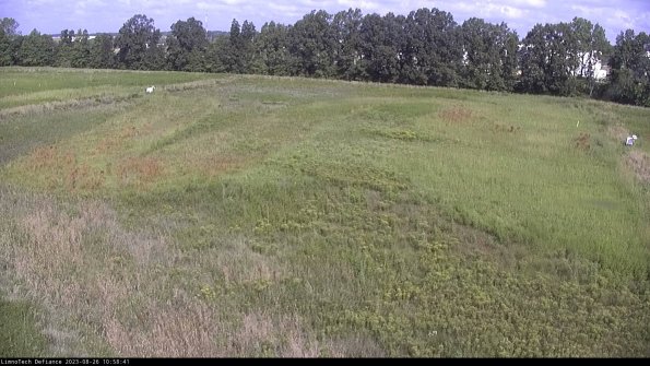 Cell 3_23-08-26_10-58-42-14