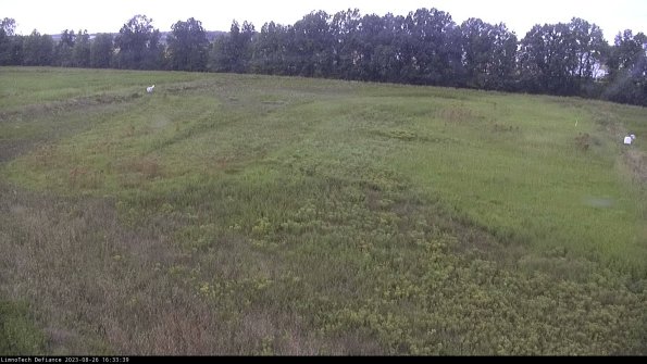 Cell 3_23-08-26_16-33-39-87