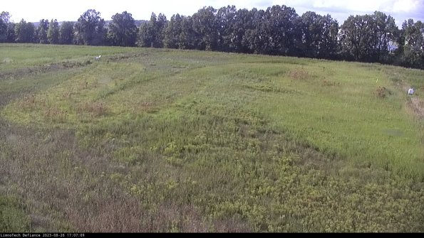 Cell 3_23-08-26_17-07-09-89