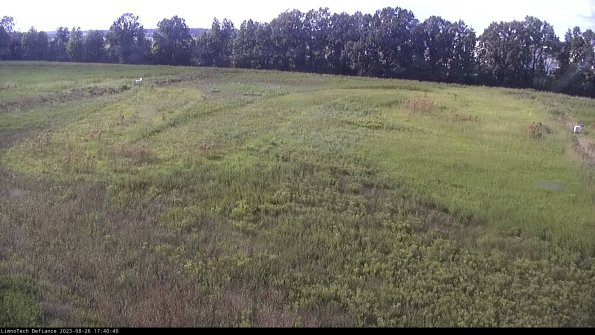 Cell 3_23-08-26_17-40-40-88