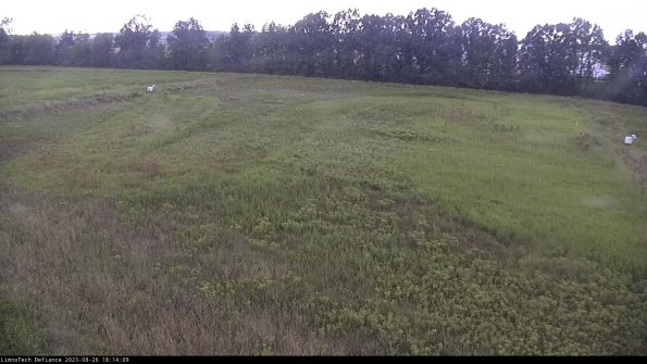 Cell 3_23-08-26_18-14-09-90