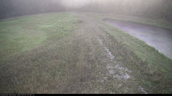 Cell 4 to Basin_23-08-26_07-05-12-89