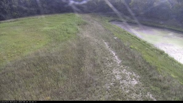 Cell 4 to Basin_23-08-26_10-26-11-88