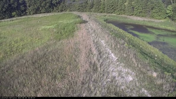 Cell 4 to Basin_23-08-26_18-48-37-91