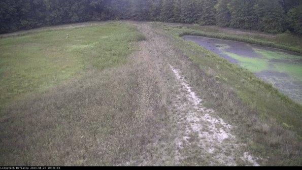 Cell 4 to Basin_23-08-26_20-29-05-90