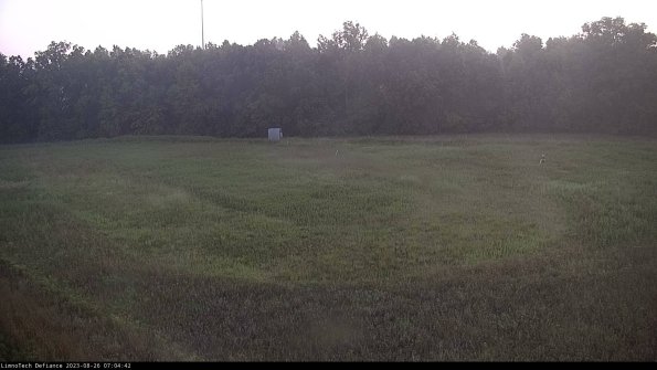 Cell 4_23-08-26_07-04-42-89