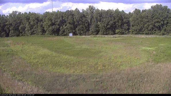 Cell 4_23-08-26_17-07-37-89