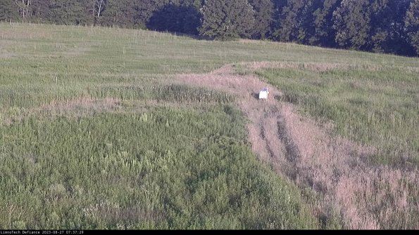 Cell 1 to 2_23-08-27_07-37-29-89