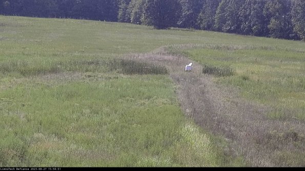 Cell 1 to 2_23-08-27_15-59-51-89