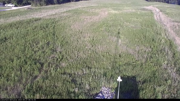 Cell 1_23-08-27_08-10-45-89