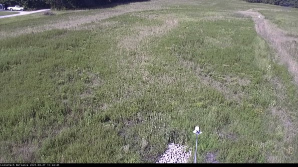 Cell 1_23-08-27_10-24-43-87