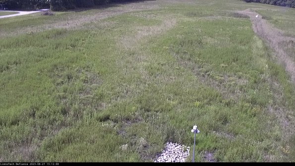 Cell 1_23-08-27_13-12-08-87