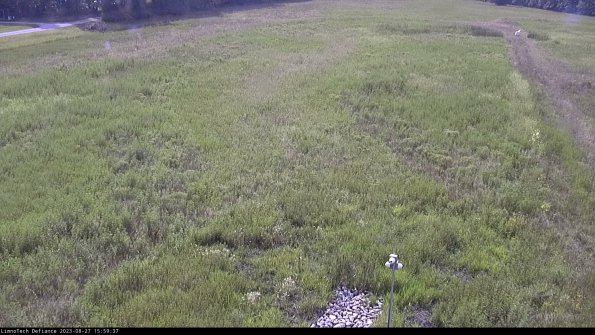 Cell 1_23-08-27_15-59-37-87