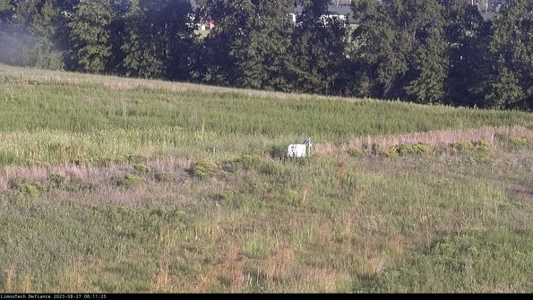 Cell 2 to 3_23-08-27_08-11-25-97