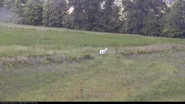 Cell 2 to 3_23-08-27_13-46-19-00